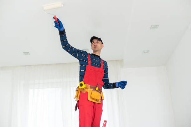 Best Mold Damage Restoration  in St Helens, OR
