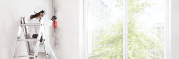 Best Asbestos and Lead Testing During Mold Inspection  in St Helens, OR